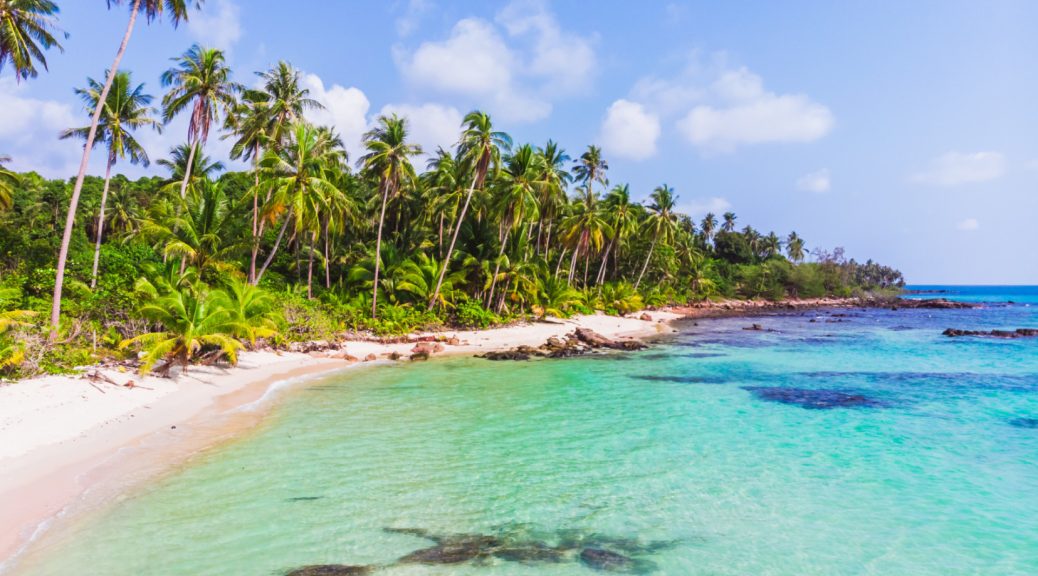 Plongez dans l'exotisme des Caraïbes et vivez un séjour inoubliable
