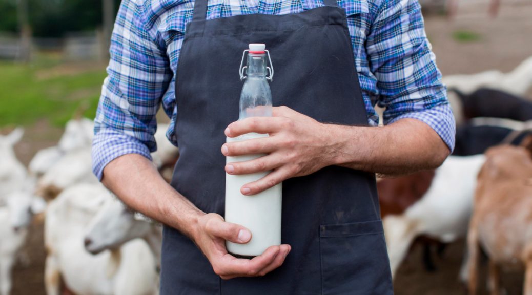 Éleveuse laitière et productrice de fromage : secrets d’un savoir-faire artisanal